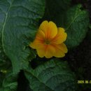 양지어린이집 이미지