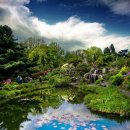 숲속의 계곡 이미지