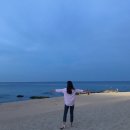 쿵더쿵카페 | 강릉 1박2일 여행 건도리횟집, 초당순두부, 수상보트