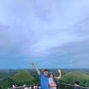 대성당안경 이미지