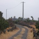 표선면-3 이미지