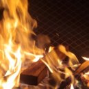 더조이하우스 이미지