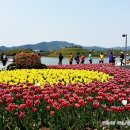 바느질하는농부