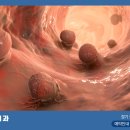 광명삼성베스트내과의원 이미지