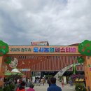 🌱 2025년 청주 도시농업페스티벌 방문기 및 액션그룹 부스 소개 🎪