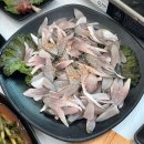가은회수산