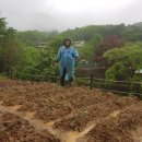 정원농장 이미지