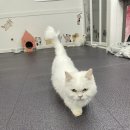 베키보육원 이미지