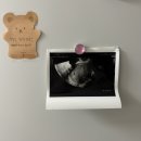 도안누리여성의원 이미지