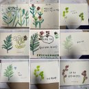 수채 캘리그라피 이미지