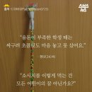 소소한사치 이미지