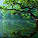 화진중학교 이미지