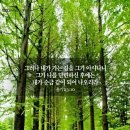 축복 이미지