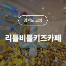 도래울자동차 | 리틀비틀 키즈카페 원흥 갓성비 도래울키즈카페 내돈내산 방문 후기