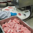 돈까스와 카츠돈 이미지