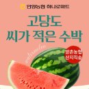 📢 7/22 단 하루! 산지직송 수박, 양파 한정 판매 이미지