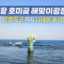 해파랑길 | 다들 왜 여기 가는지 알겠다! 포항 호미곶 직접 가보니. 포항1박2일여행. 4월포항가볼만한 곳!