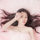 스튜디오 눕 이미지