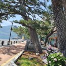 큰솔펜션 이미지