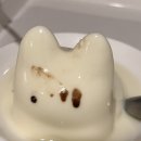 커스타드(custard)