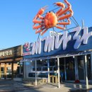 대게나라 이미지