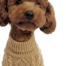 도그레이 이미지