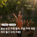 수락로877 | 충남 논산 카페 벌곡, 무료 카약 체험까지 즐긴 이색 카페!!