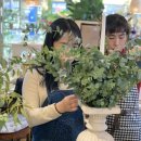 정인플라워 이미지