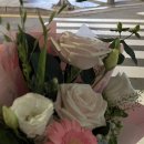 참치플러스 이미지