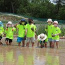 계성농장 이미지