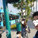 범주카서비스 | 👨‍👩‍👧‍👦미국 여행🗽&amp;🍁캐나다 캠핑카 트립- LA 애너하임 디즈니랜드 파크로 고고고! (반입불가 물품, 강추...