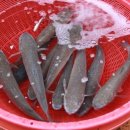 마산건어물마트 네이버블로그