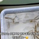 우목 낚시터 이미지