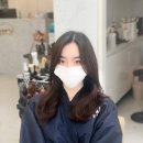 살롱의 정석