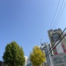 전농30 | 전농sk아파트 임장 면목선 생기기 전 기회 무조건 오르는 아파트