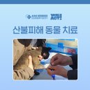 로얄동물메디컬센터 강동 이미지