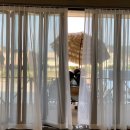 스타필드안성.용이동삼천리가스 이미지