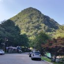 올가민박 이미지