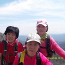 지리산(대구) 이미지