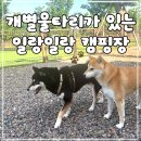 힐링탁구(A) | 개별울타리가 있는 대구근교 왜관 일랑일랑 캠핑장 앤 카라반
