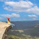 알뜰식품점 | 시드니여행] 4일차 - 마이리얼트립 블루마운틴 &amp; 페더데일동물원 투어(코알라,쿼카,캥거루) 내돈내산후기