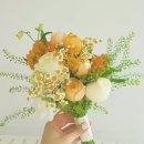 오유플랜트