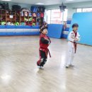 금성체육관(태권도) 이미지