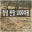 조아2태양광발전소 이미지