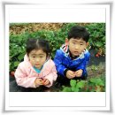 땅끝농장 이미지