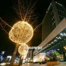 석전동 경남은행 본점 앞 이미지