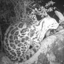 gc-camera-010 이미지