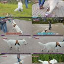 호돌이농장 이미지