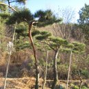 지리산농장 이미지