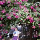 고려동유적지 이미지